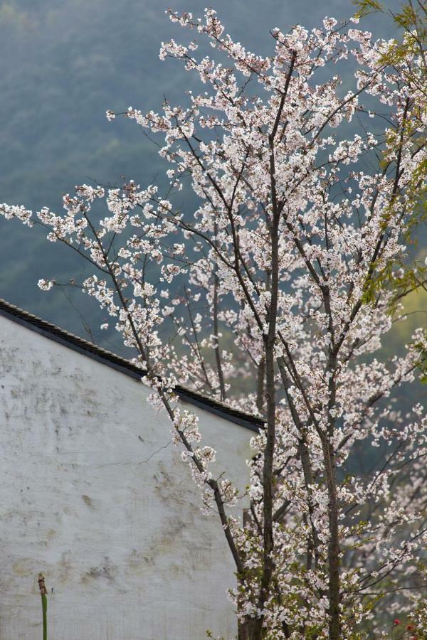 Pusen Lanting Shaoxing Hotel Exterior photo